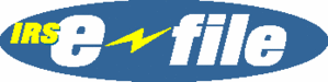 TAX RETURN BAKERSFIELD CA TAX RETURN EFILE